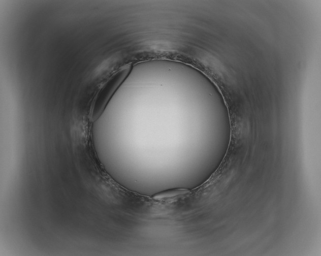 X0000110741110200906221023