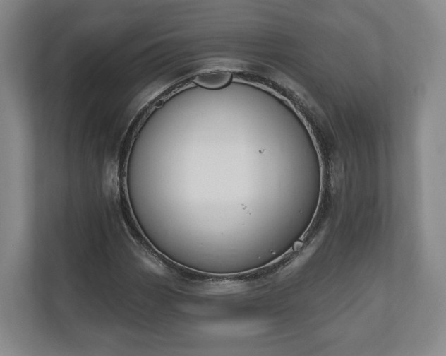 X0000110741113200906221023