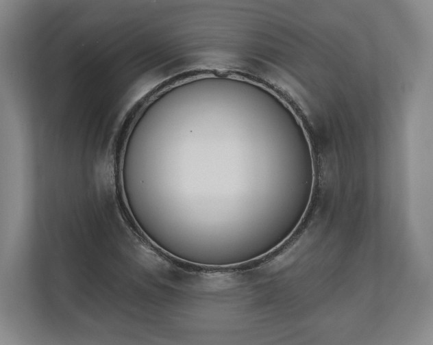 X0000110741114200906221023