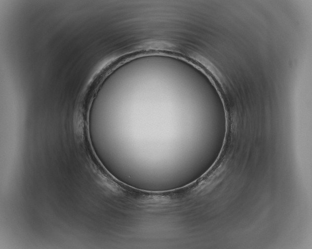 X0000110741115200906221023
