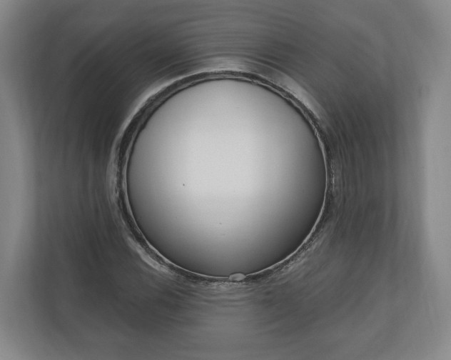X0000110741116200906221023
