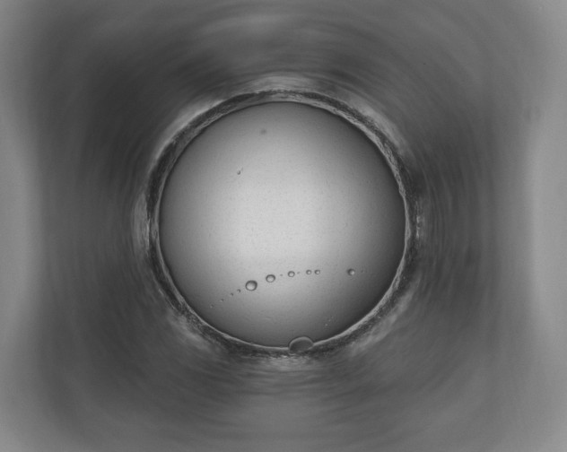 X0000110741117200906221023
