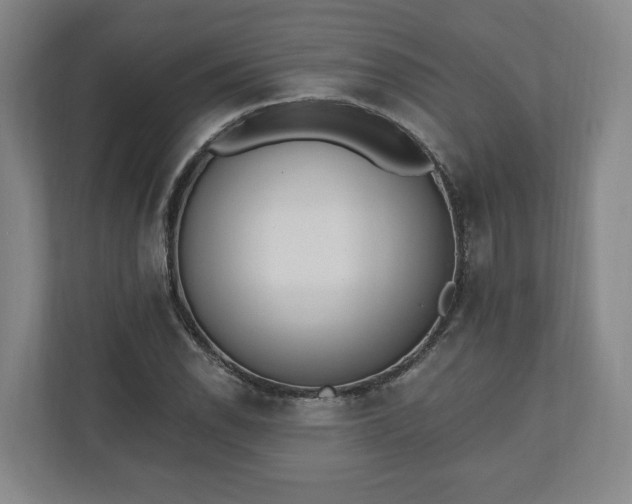 X0000110741118200906221023