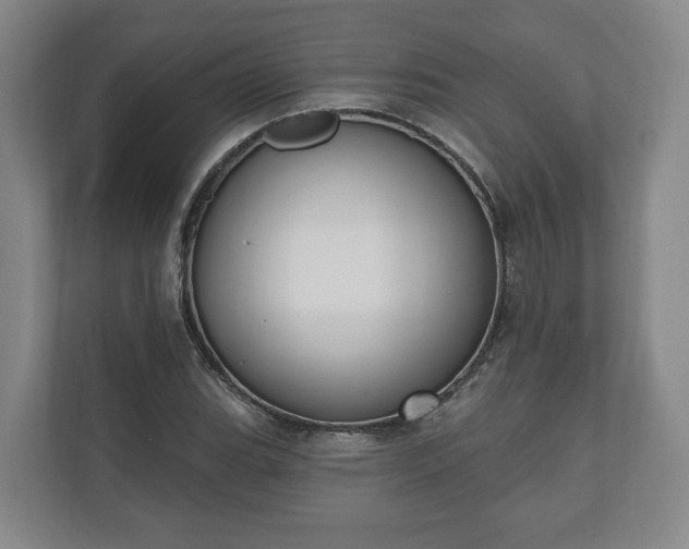 X0000110741119200906221023