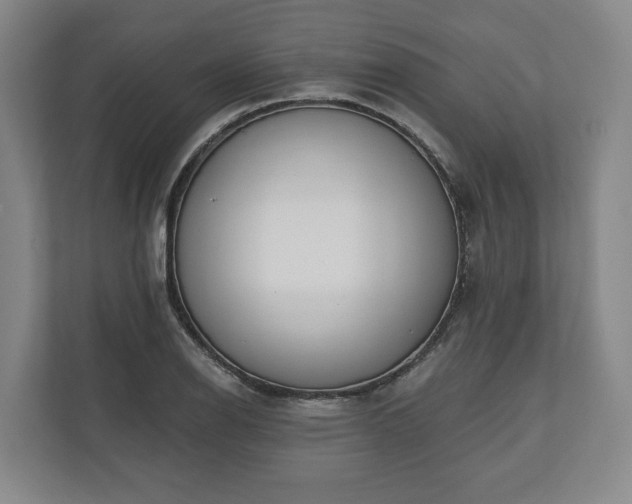 X0000110741126200906221023