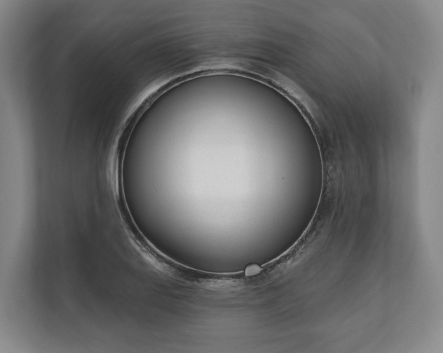 X0000110741127200906221023