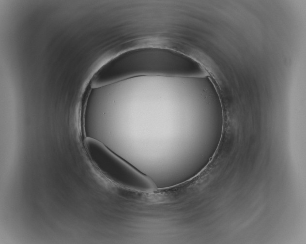 X0000110741128200906221023