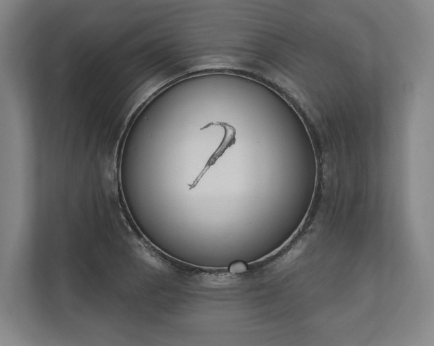 X0000110741129200906221023