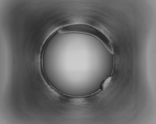 X0000110741134200906221023