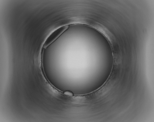 X0000110741140200906221023