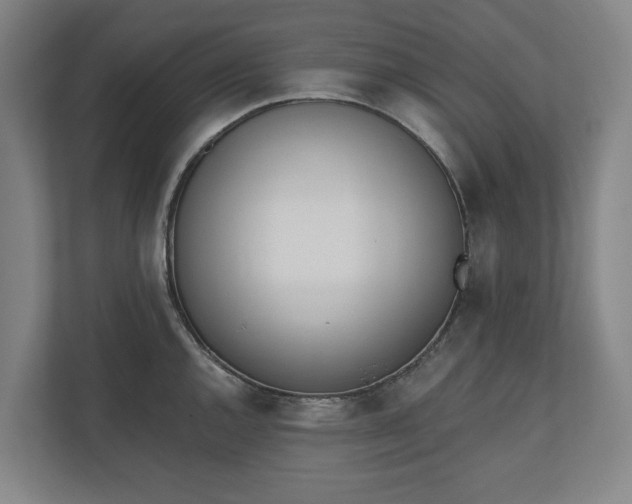 X0000110741144200906221023