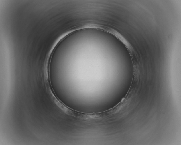 X0000110741148200906221023