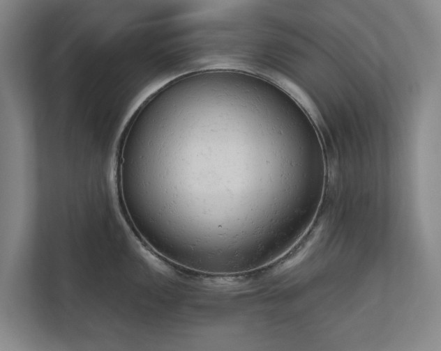 X0000110741149200906221023