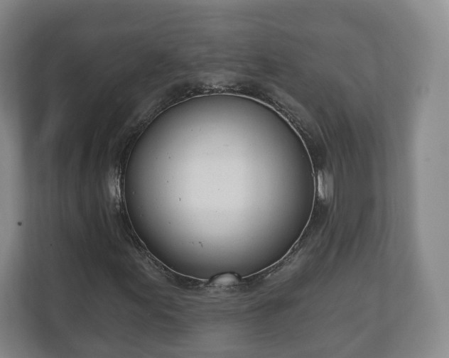X0000110741155200906221023