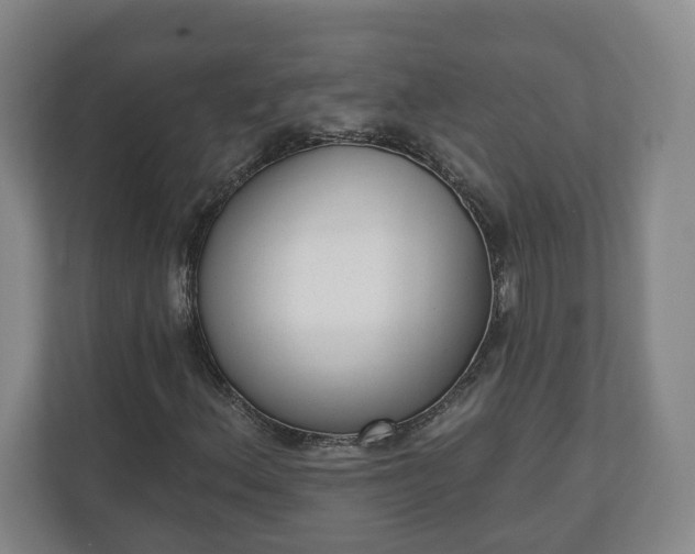 X0000110741156200906221023