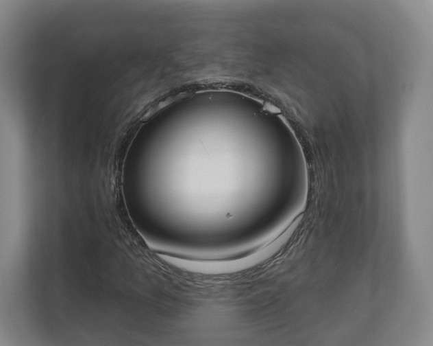 X0000110741157200906221023