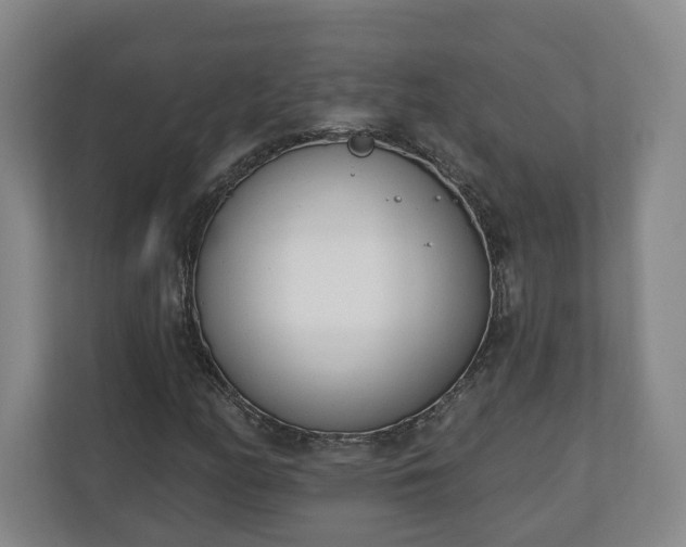 X0000110741158200906221023