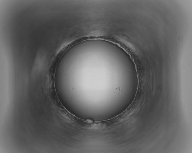 X0000110741160200906221023