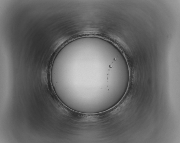 X0000110741162200906221023