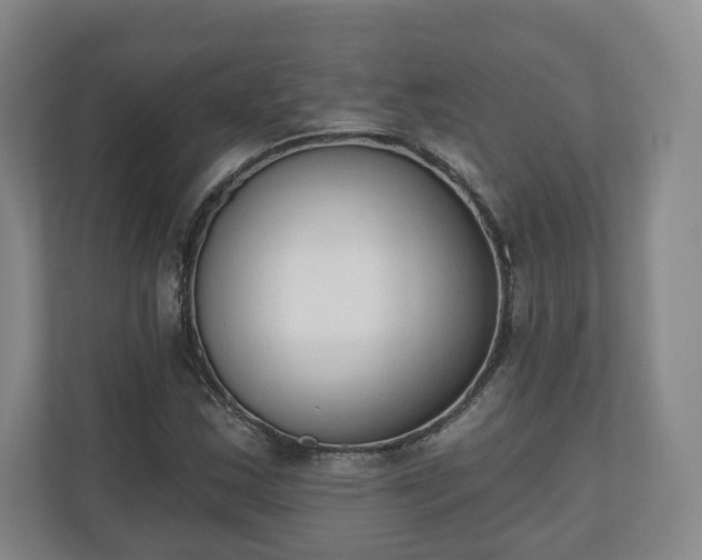 X0000110741163200906221023
