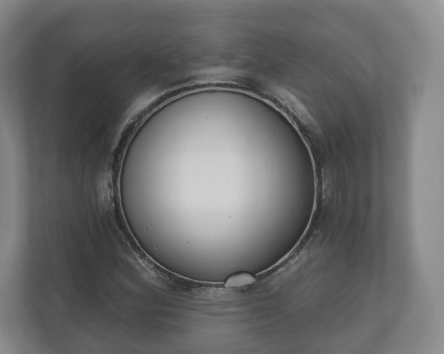 X0000110741164200906221023