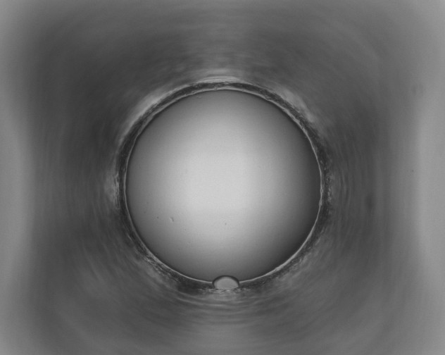 X0000110741167200906221023