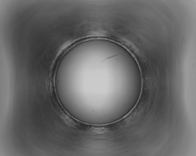 X0000110741168200906221023