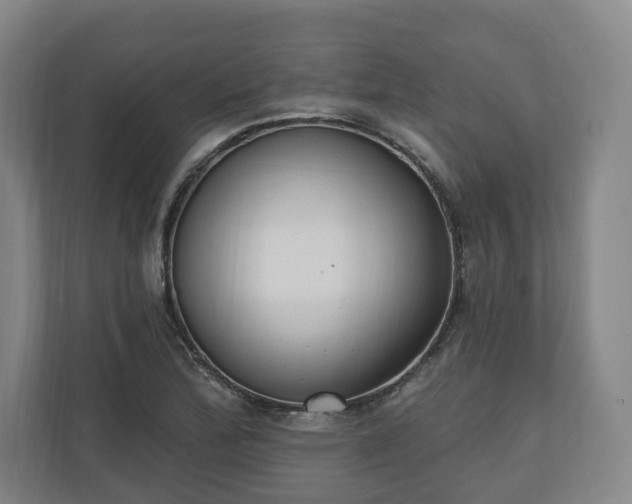 X0000110741172200906221023