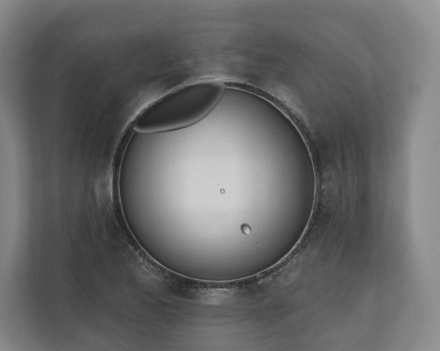 X0000110741173200906221023
