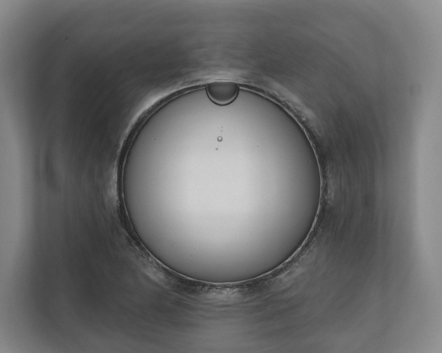 X0000110741174200906221023