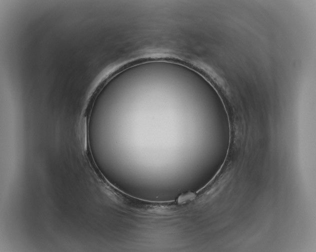 X0000110741175200906221023