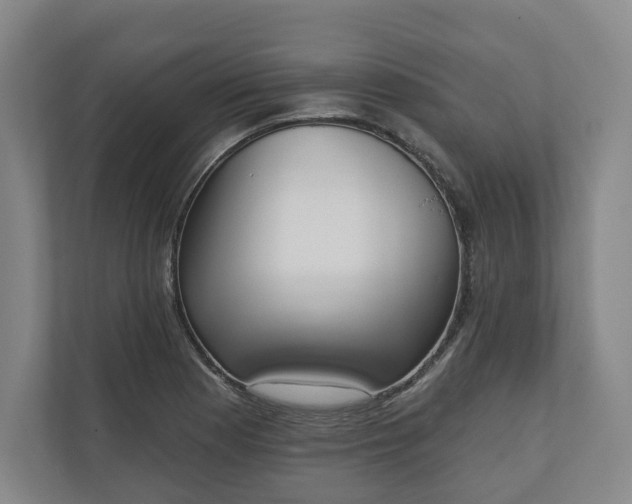 X0000110741177200906221022