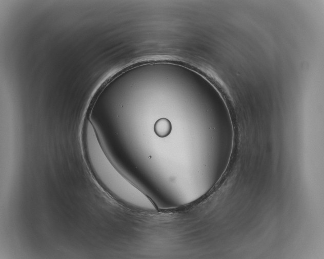 X0000110741181200906221022