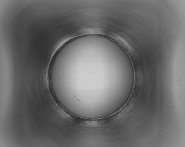 X0000110741182200906221022