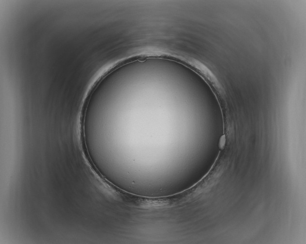 X0000110741183200906221022