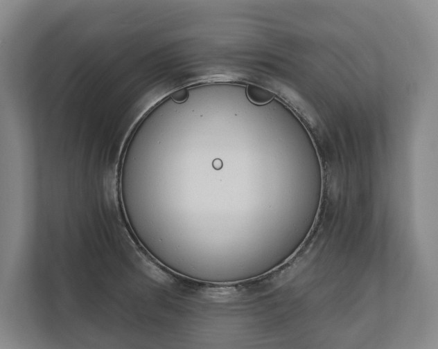 X0000110741186200906221022