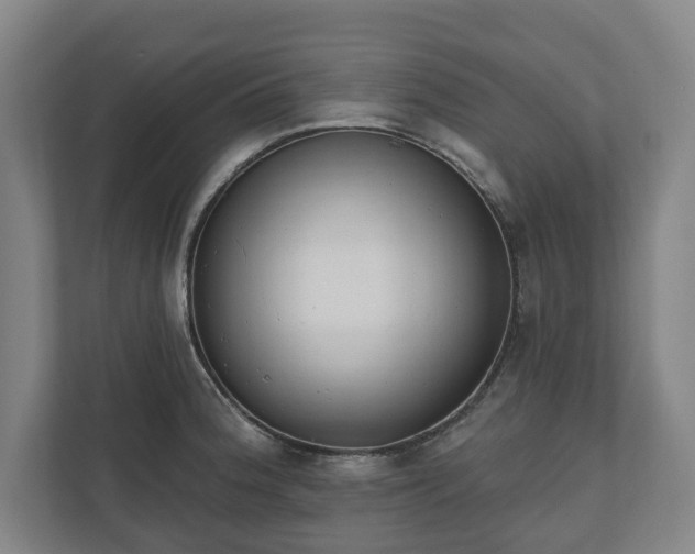 X0000110741188200906221022