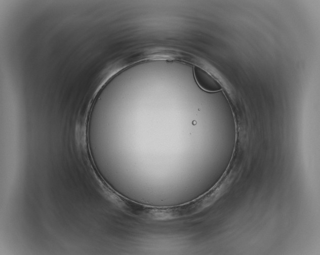 X0000110741194200906221022