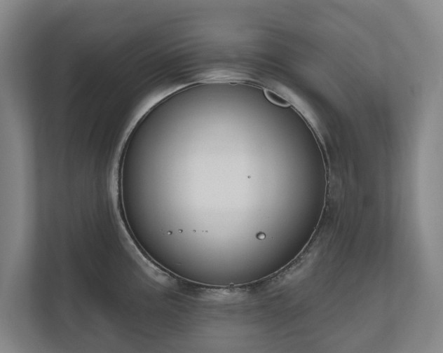 X0000110741195200906221022