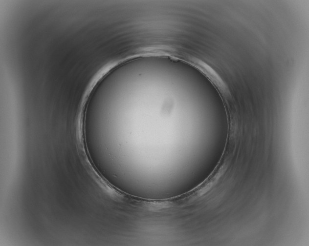 X0000110741196200906221022