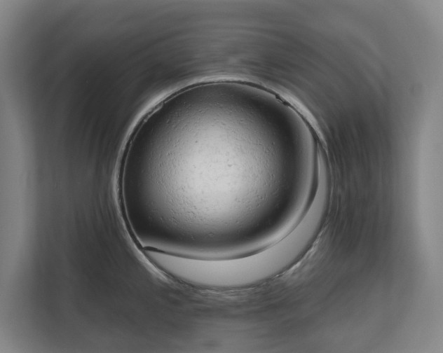 X0000110741197200906221022