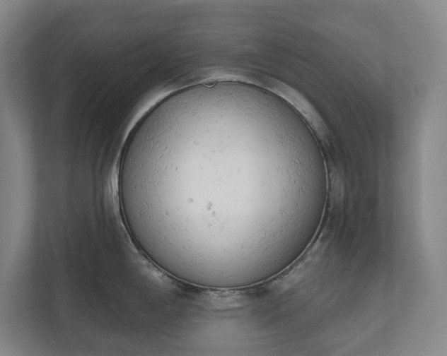X0000110741198200906221022