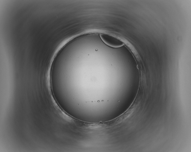 X0000110741199200906221022