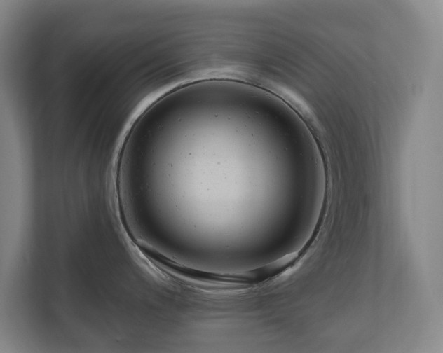X0000110741200200906221022