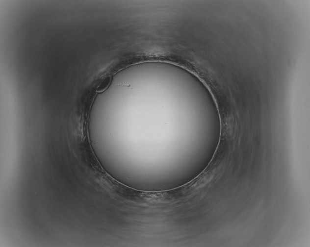 X0000110741205200906221022