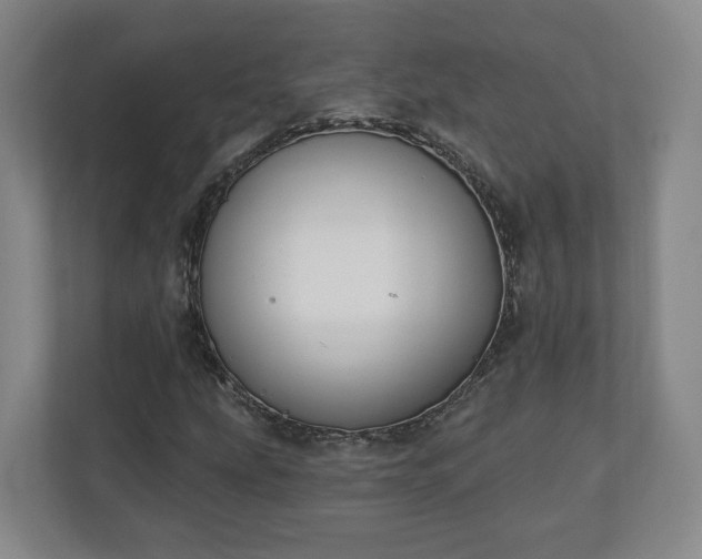 X0000110741207200906221022