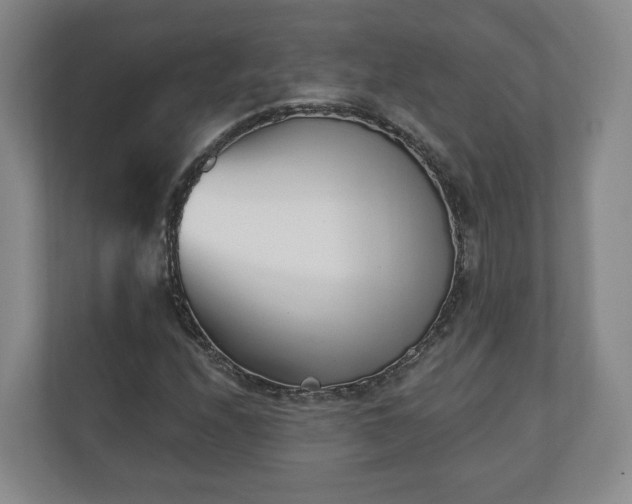 X0000110741208200906221022