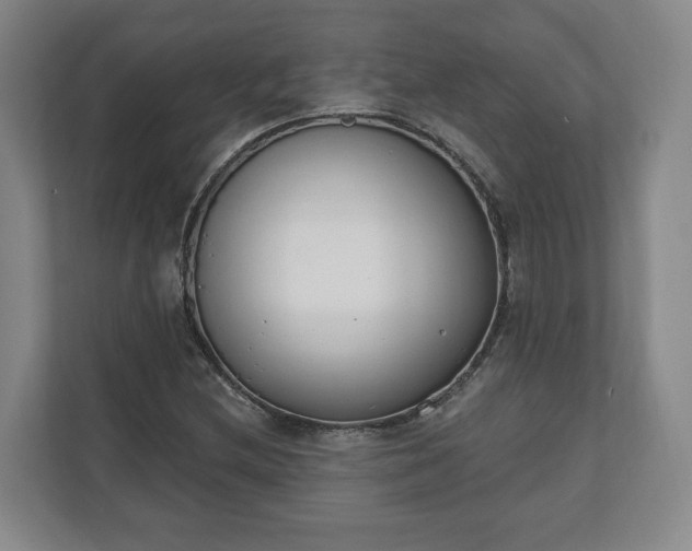 X0000110741212200906221022