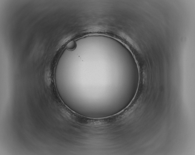 X0000110741213200906221022