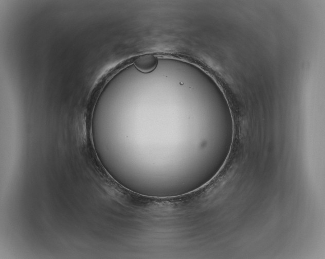 X0000110741214200906221022